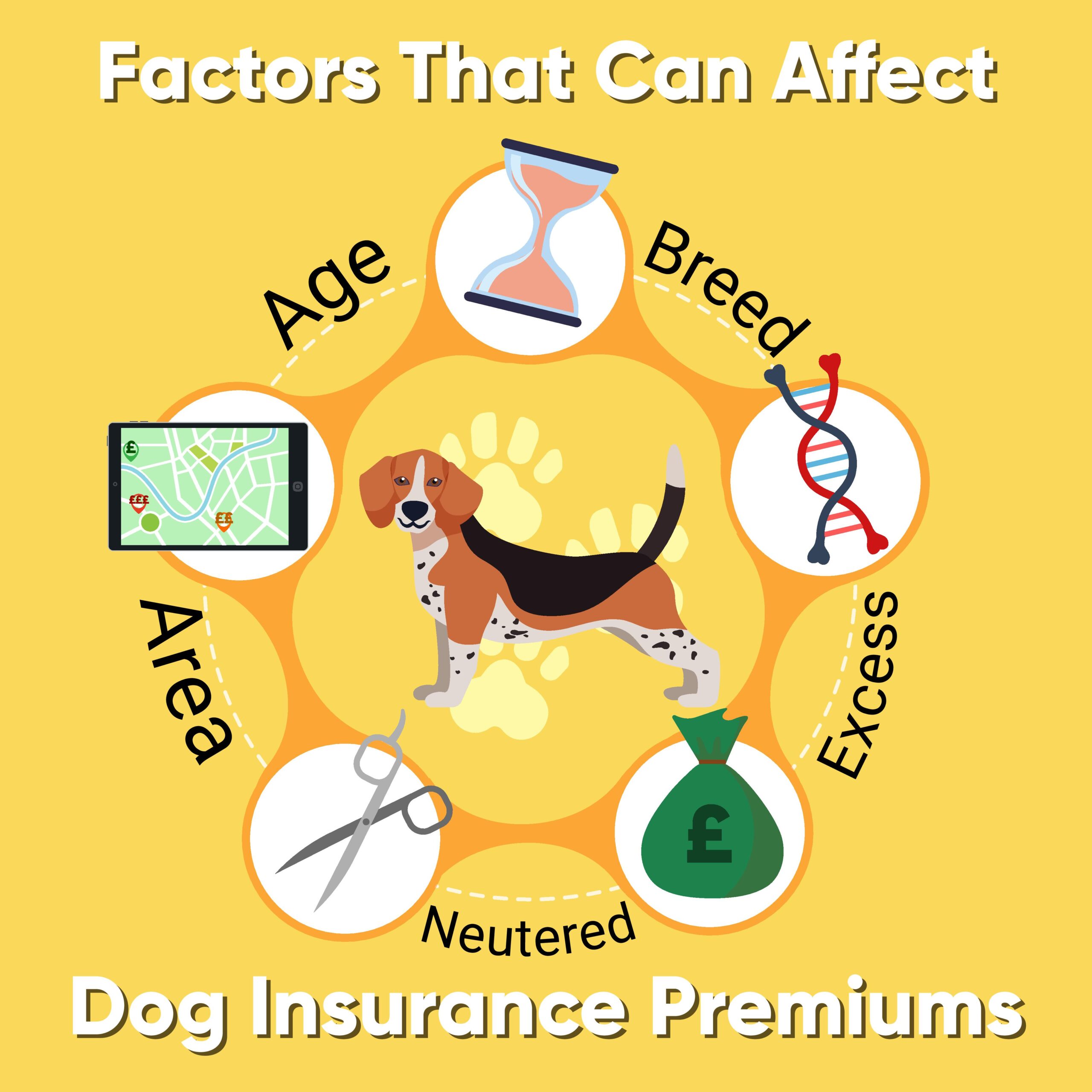 What affects dog insurance price