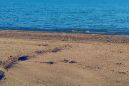 Sandy beach with footprints and blue ocean